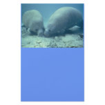 Manatee Moments Stationery