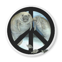 manatee peace magnets