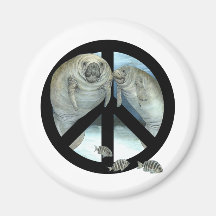 manatee peace magnet
