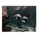 Manatee postcard