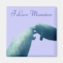 Manatee Refrigerator Magnet