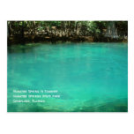 Manatee Springs Postcard