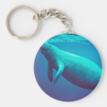 Manatee Surfacing to Breathe Keychains