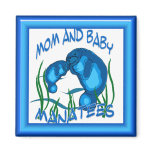 Manatees magnet