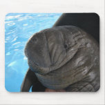 Manati SMP04 mousepads