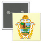 Manaus Amazonas Brasil, Brazil flag Pinback Buttons