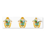 Manaus Amazonas, Brazil Bumper Sticker