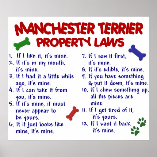 MANCHESTER TERRIER PL2 AFFICHES