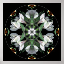 Mandala #06 posters
