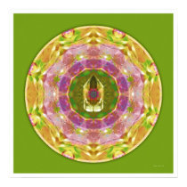 Mandala en cristal 1 affiches