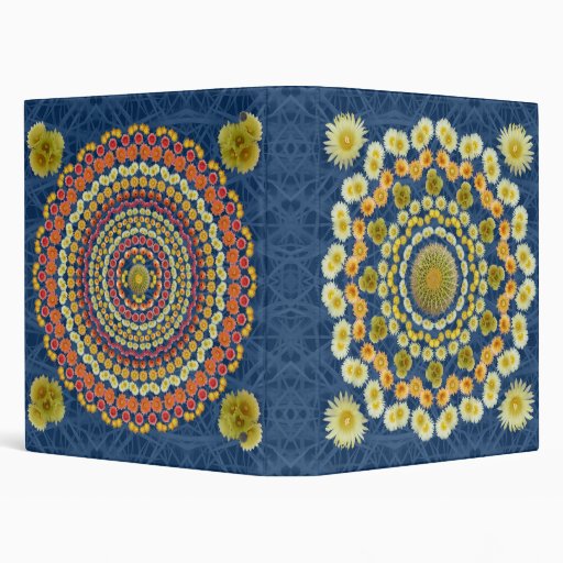 Mandalas 1 et 2 de cactus de baril sur le motif bl
