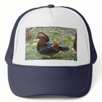 Mandarin Duck Kultcaps