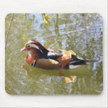 Mandarin Duck mousepads