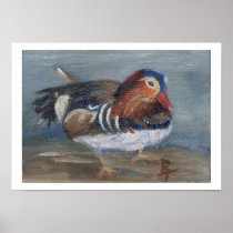Mandarin Duck Poster Print