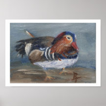 Mandarin Duck Poster Print