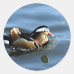 Mandarin duck sticker