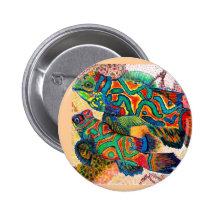 Mandarin Fish Art Pinback Button