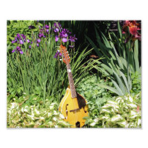 Mandolin And Iris Garden 10x8 Flower Print Photo