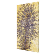 Manganese dendrites, Southwestern USA Canvas Prints