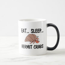 Mangez les BERNARD L'ERMITE de sommeil Tasse