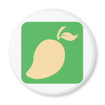 Mango Fruit Icon magnets