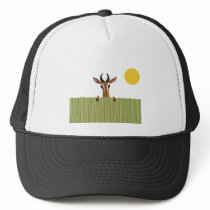 Mango the Gazelle Peek-a-boo Mesh Hats