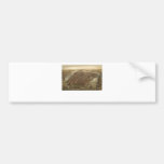 Manhattan 1873 bumper sticker