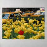 Manhattan posters