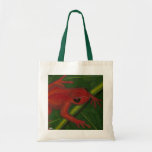 Manny The Mantella (Frog) Bag