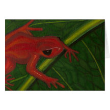 Manny The Mantella (Frog) Card