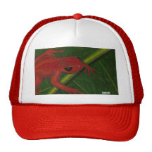 Manny The Mantella (Frog) Hats