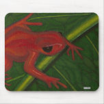 Manny The Mantella (Frog) Mouse Pad
