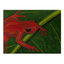 Manny The Mantella (Frog) Postcard