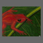 Manny The Mantella (Frog) posters