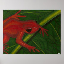 Manny The Mantella (Frog) Poster