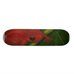 Manny The Mantella (Frog) Skateboard Decks