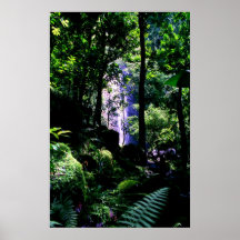 Manoa Trail Waterfall Posters