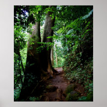 ManoaTrail Poster