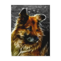 Man's Best Friend #3 Postcard