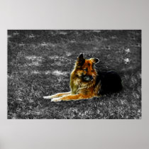 Man's Best Friend #3 Print