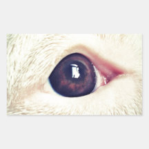 Man's best friend sticker