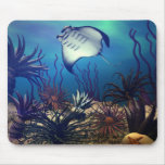 Manta Ray Use Pads