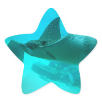 Manta Ray Stickers