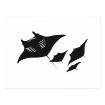 mantarochen manta ray scuba diving tauchen taucher postkarte
