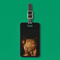 Mantis 15 ~ Luggage Tag luggage tags