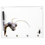 Mantis and Bug ~ Keychain Board Dry-Erase Boards