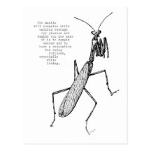 mantis postcards