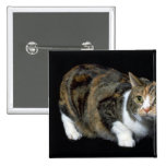 Manx Buttons