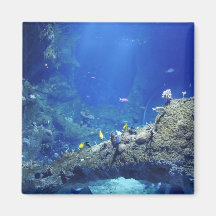 Many Sea Fishes Magnet
