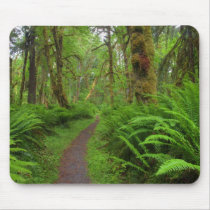 Maple Glade trail, ferns and moss covered Mouse Pads